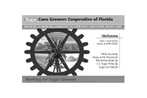 Sugar Cane Growers Cooperative of Florida